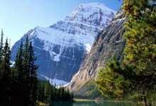 公牛队连扳两回合，喜迎胜利的巅峰之战