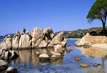 利物浦后防表现稳定，球队保持连胜状态